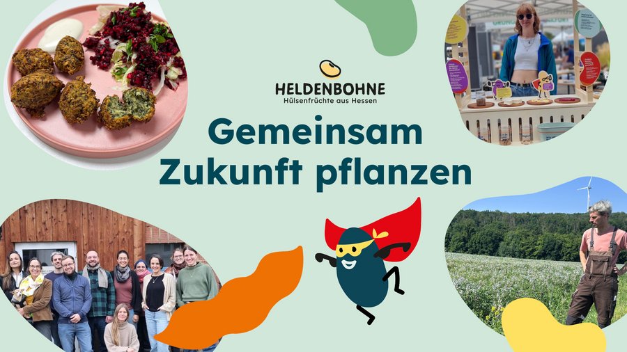 in den 4 Ecken sieht man: einen Teller mit Falafel und Salat, eine Frau hinter einem Stand, eine Gruppe Menschen, einen Mann auf einer grünen Wiese